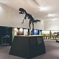 Museu Nacional de Historia Natural e Ciencia_Lisboa-018155.jpg